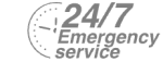 24/7 Emergency Service Pest Control in Chiswick, W4. Call Now! 020 8166 9746